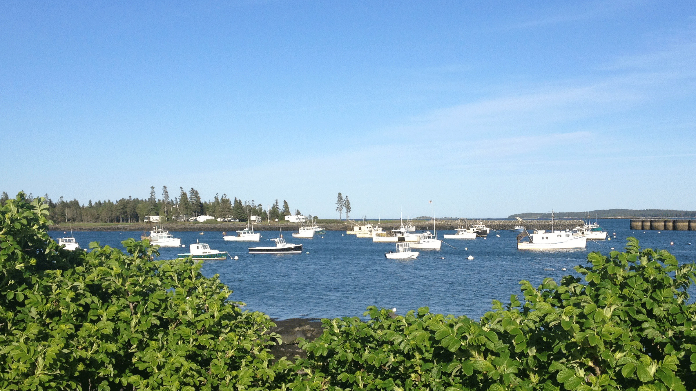 Jonesport harbor and Kelley Point